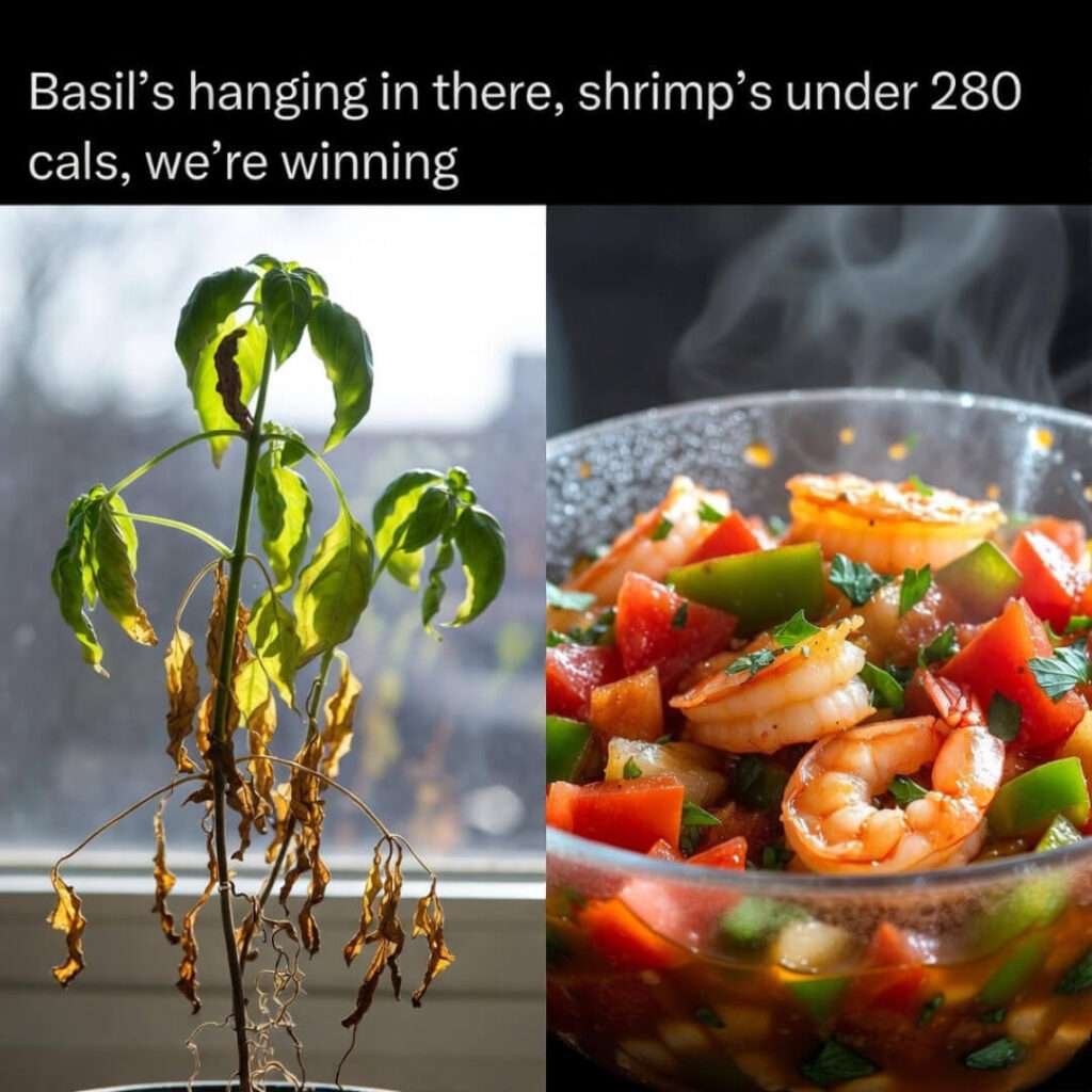 Wilted basil beside shrimp stir-fry, sunny window, winning.